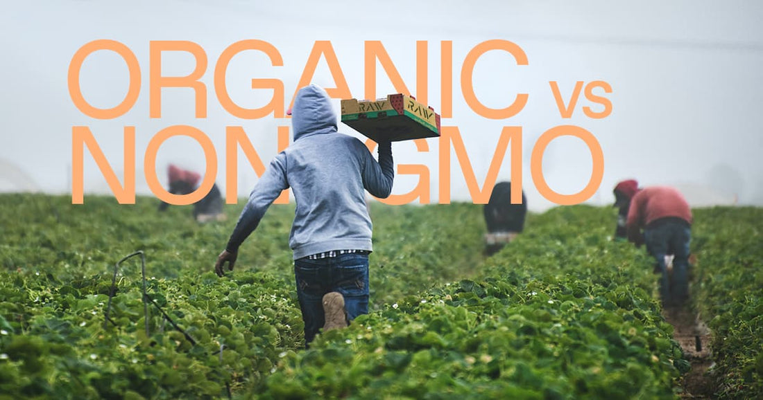 Organic vs. Non-GMO: What’s the difference?