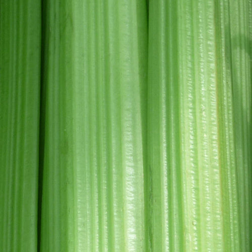 Celery