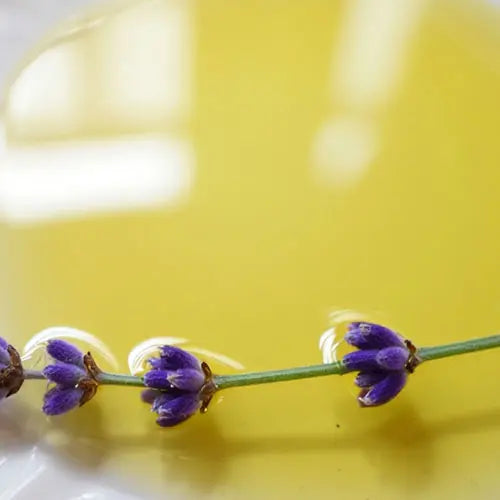Lavender Oil