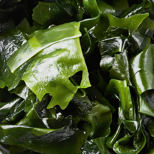 Raw Liquid Spirulina