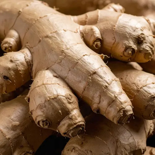 Ginger Root