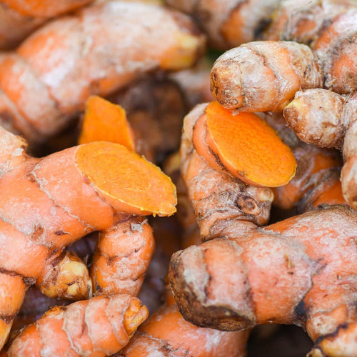 Turmeric Root