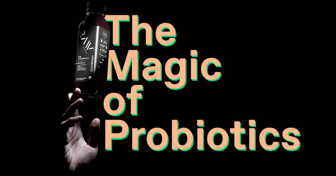 Probiotic Shot Benefits: Better Digestion in One Sip – Raw Juicery