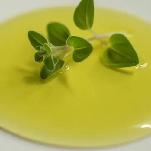 Oil of Oregano