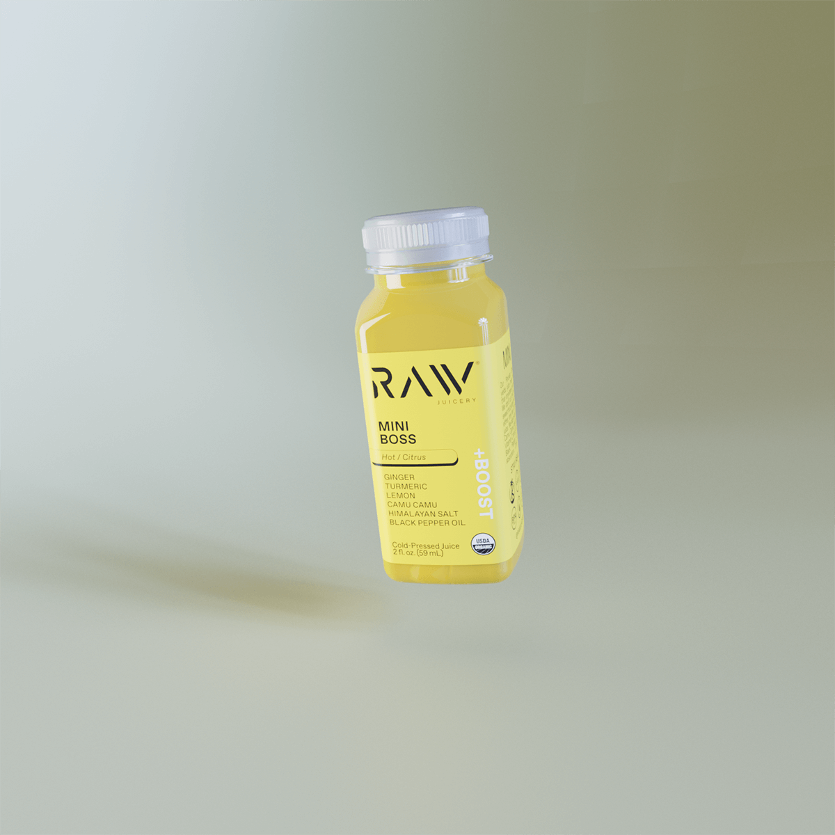 MINI BOSS | 2-PACK - Raw Juicery