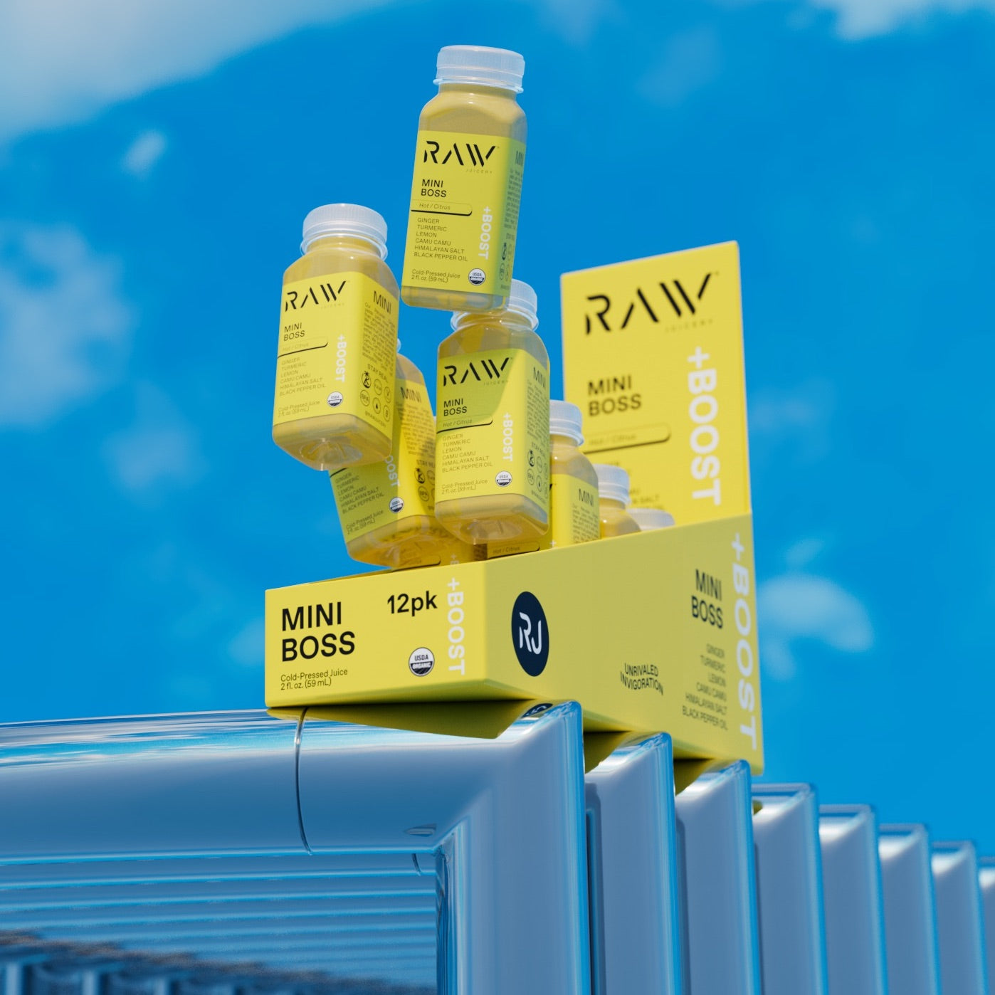 Boost Box 96-Pack Pick Your Organic Wellness Shot Flavor Raw Juicery Boost Box 96-Pack Pick Your Organic Wellness Shot Flavor Raw Juicery